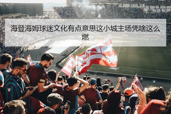 海登海姆球迷文化有点意思这小城主场凭啥这么燃