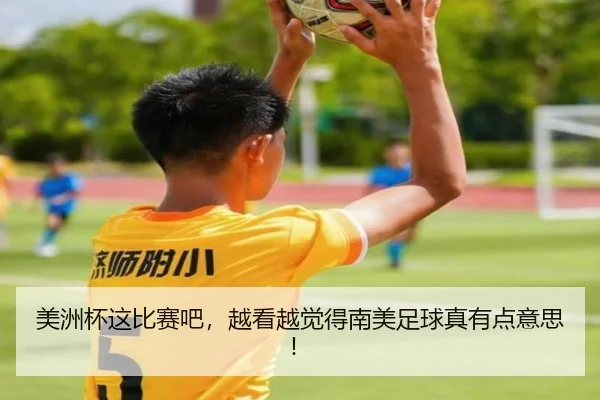 美洲杯这比赛吧，越看越觉得南美足球真有点意思！