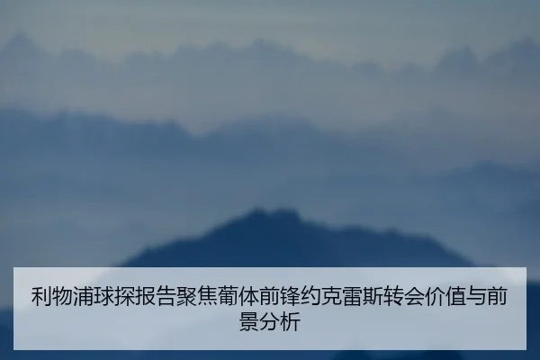 利物浦球探报告聚焦葡体前锋约克雷斯转会价值与前景分析